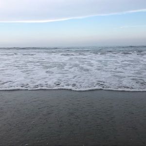 Meet your Posher, Sydney